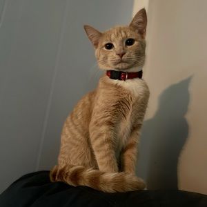 Meet your Posher, Brandy